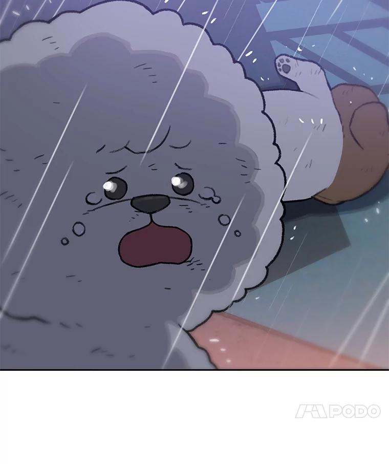 《彩虹桥守望者》27.你是我失而复得的欣喜 第53页
