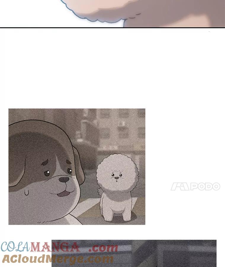 《彩虹桥守望者》28.以后多指教 第49页