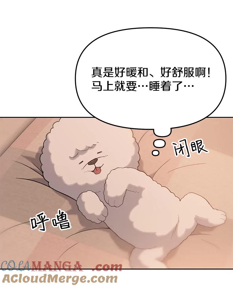 《彩虹桥守望者》28.以后多指教 第19页
