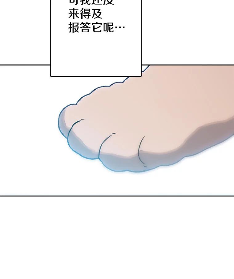 《彩虹桥守望者》28.以后多指教 第51页