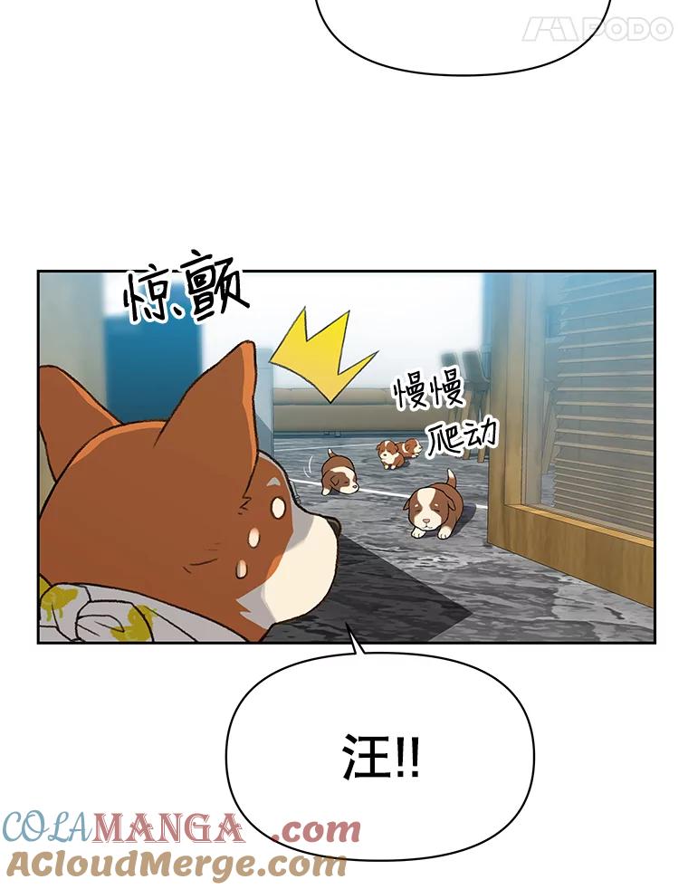 《彩虹桥守望者》29.同学聚会 第16页