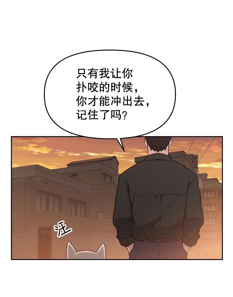 《彩虹桥守望者》30.路遇疯狗 第17页