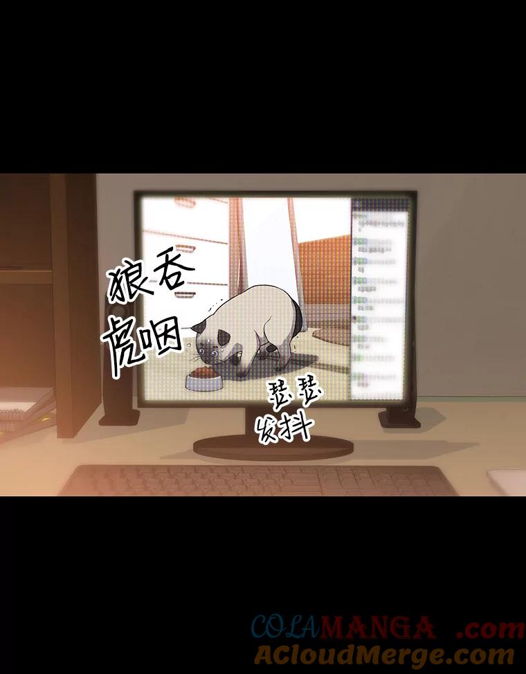 《彩虹桥守望者》32.阴谋 第55页