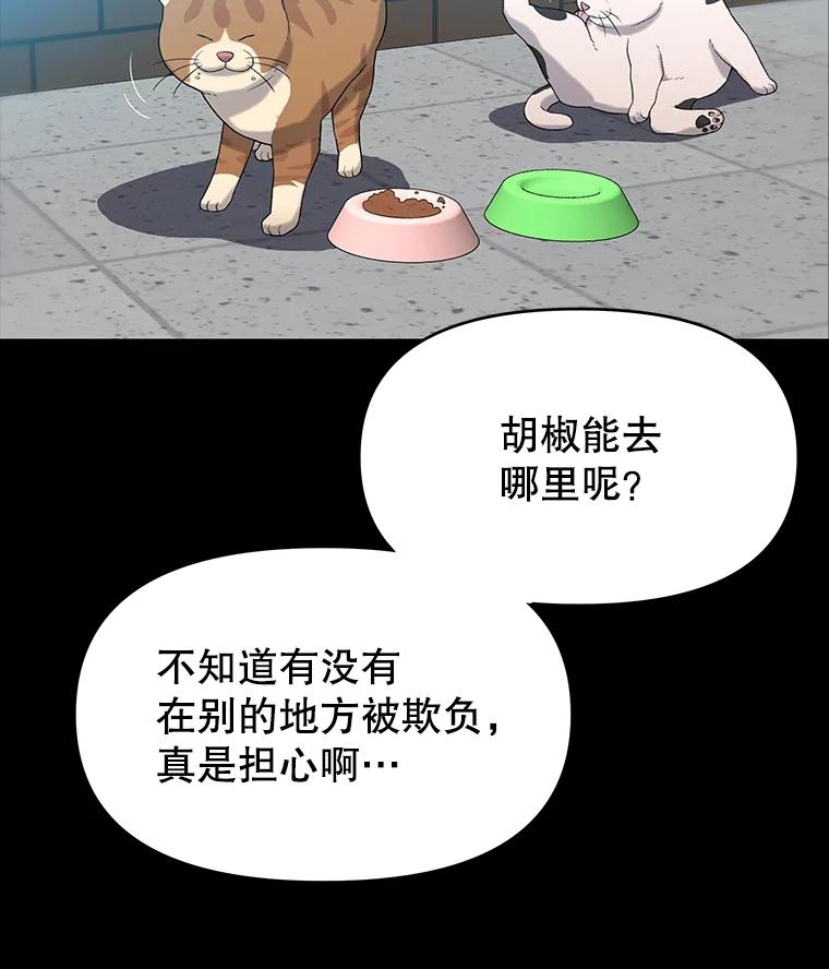 《彩虹桥守望者》32.阴谋 第8页