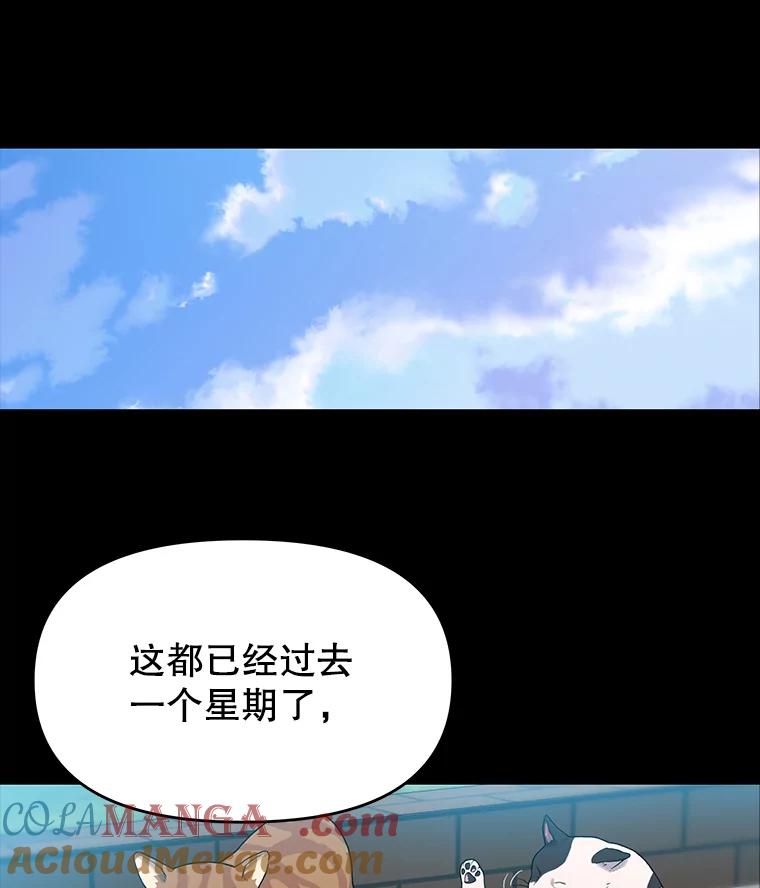 《彩虹桥守望者》32.阴谋 第7页