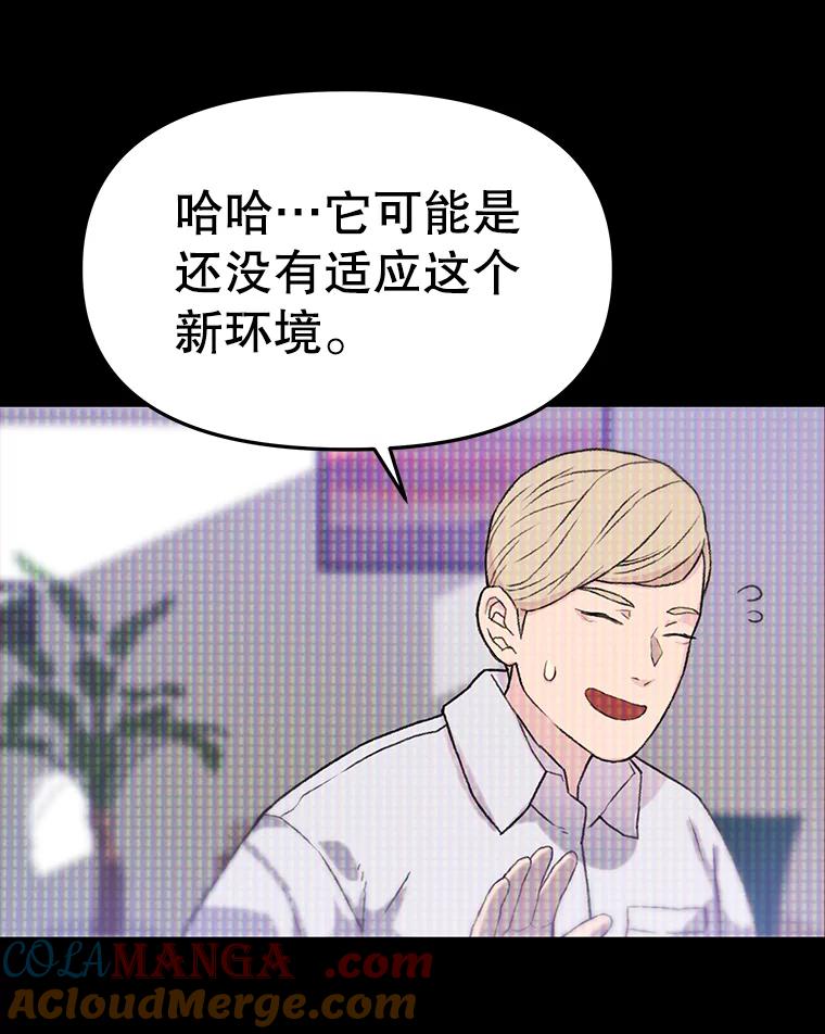 《彩虹桥守望者》32.阴谋 第49页