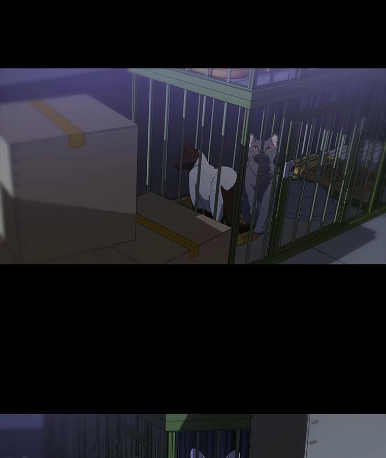 《彩虹桥守望者》33.恶意 第27页