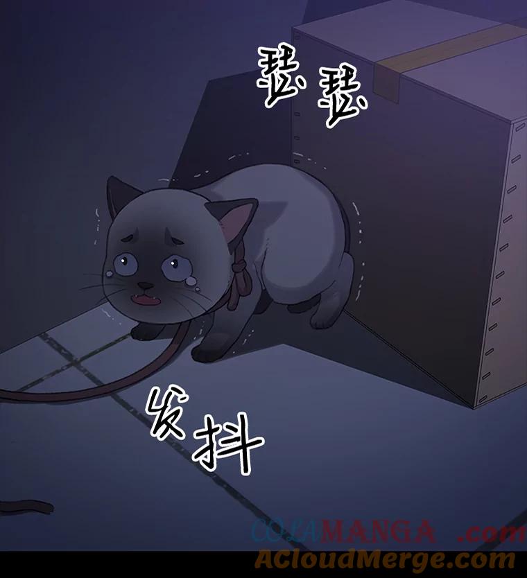 《彩虹桥守望者》34.破灭的希望 第5页