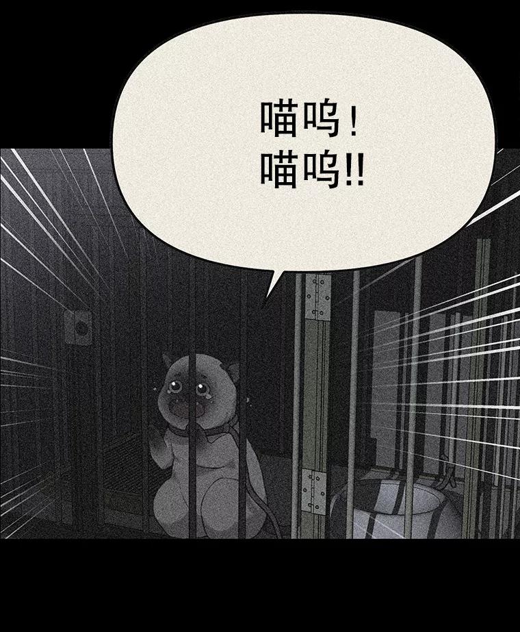 《彩虹桥守望者》34.破灭的希望 第99页