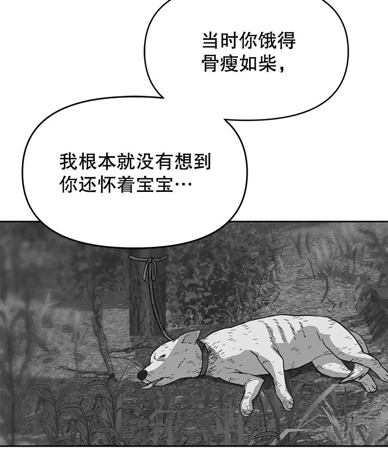 《彩虹桥守望者》36.不速之客 第72页