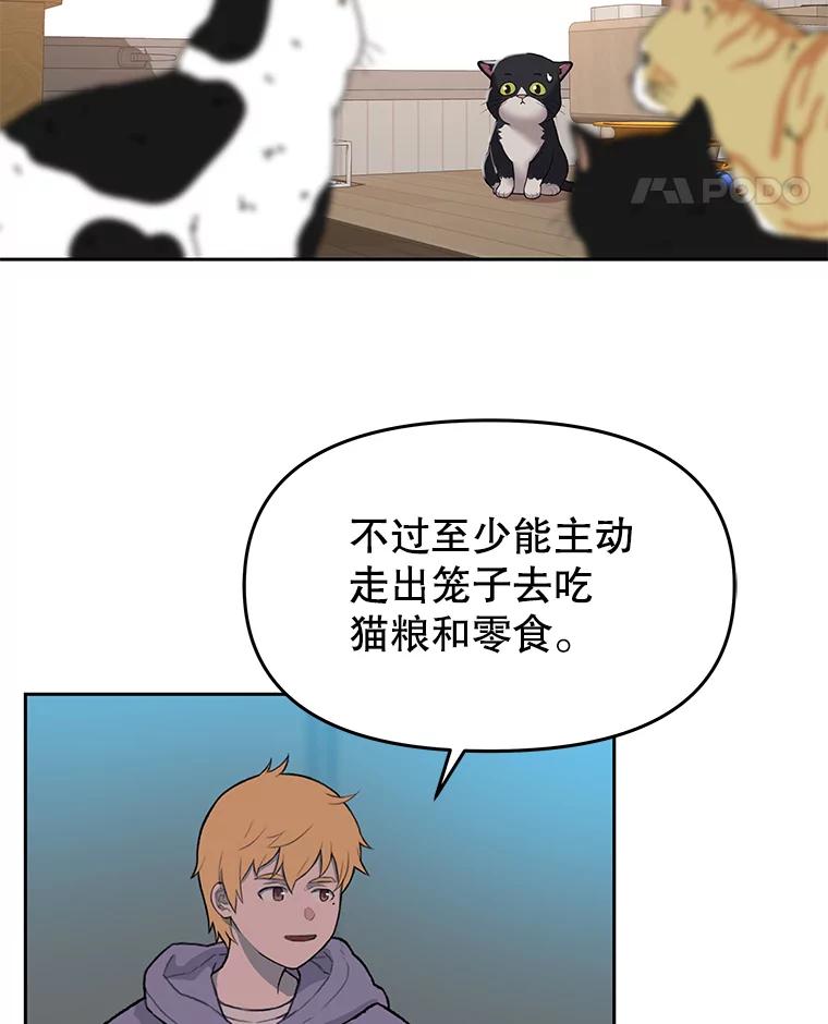 《彩虹桥守望者》36.不速之客 第39页