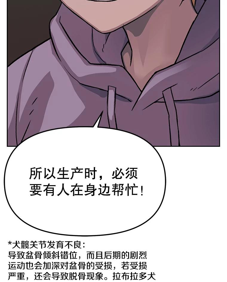 《彩虹桥守望者》37.阿兰当妈妈了 第17页