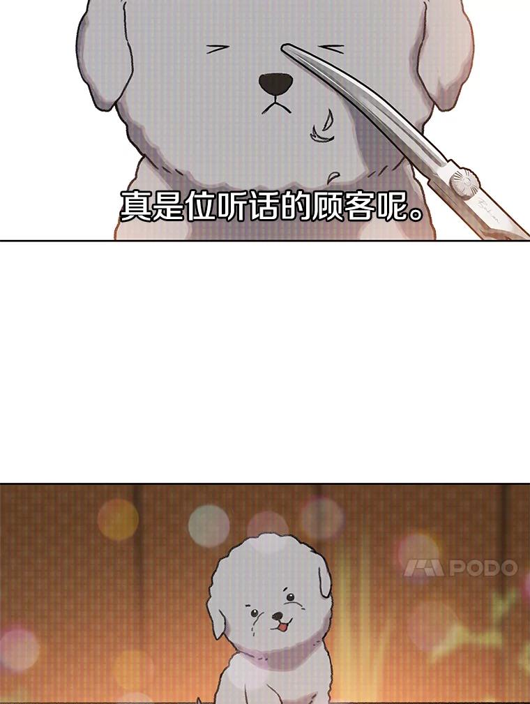 《彩虹桥守望者》39.帮你找新家 第35页