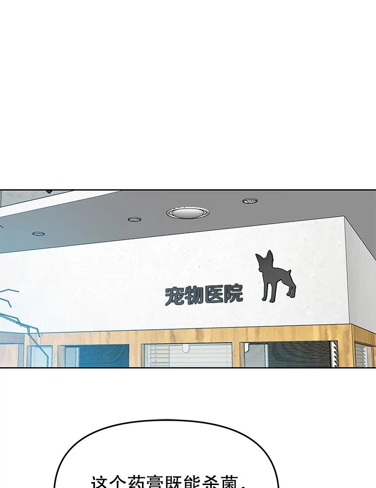 《彩虹桥守望者》39.帮你找新家 第41页