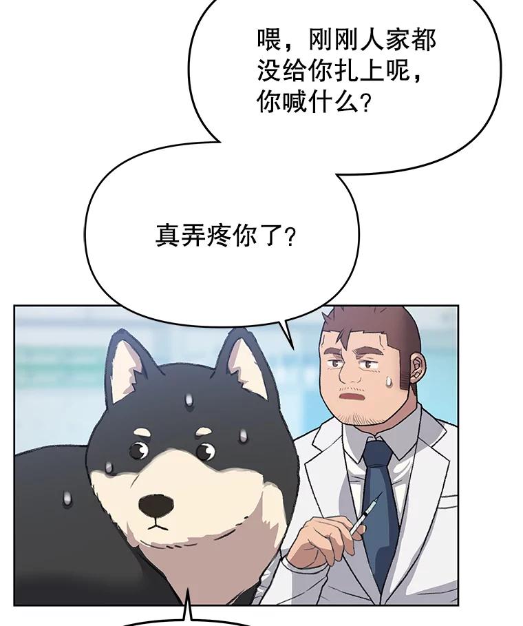 《彩虹桥守望者》39.帮你找新家 第48页