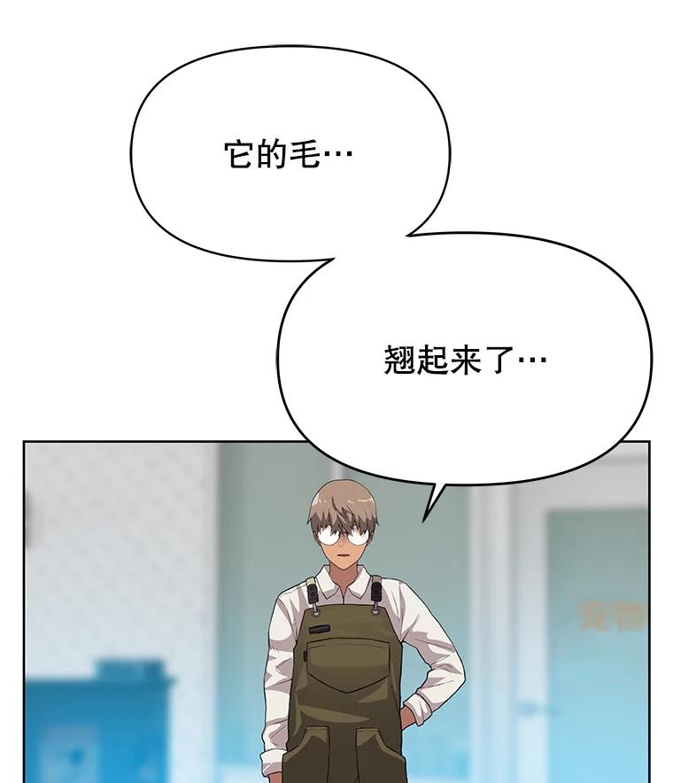 《彩虹桥守望者》40.是天使？还是魔鬼？ 第81页