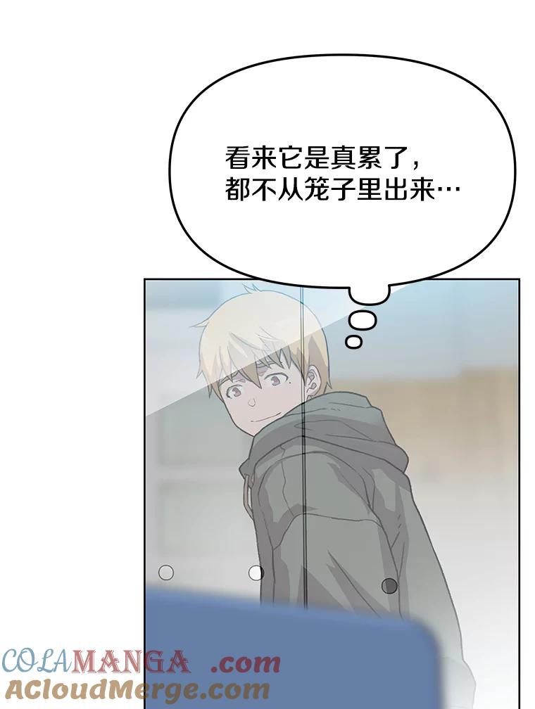 《彩虹桥守望者》40.是天使？还是魔鬼？ 第85页