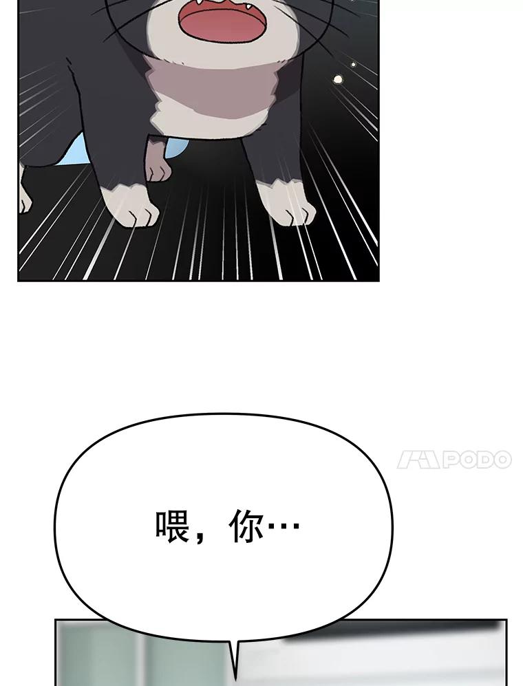《彩虹桥守望者》41.宠物美容师 第18页