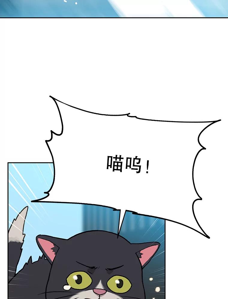 《彩虹桥守望者》41.宠物美容师 第17页