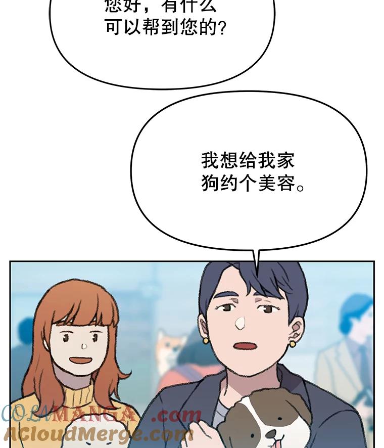 《彩虹桥守望者》41.宠物美容师 第34页