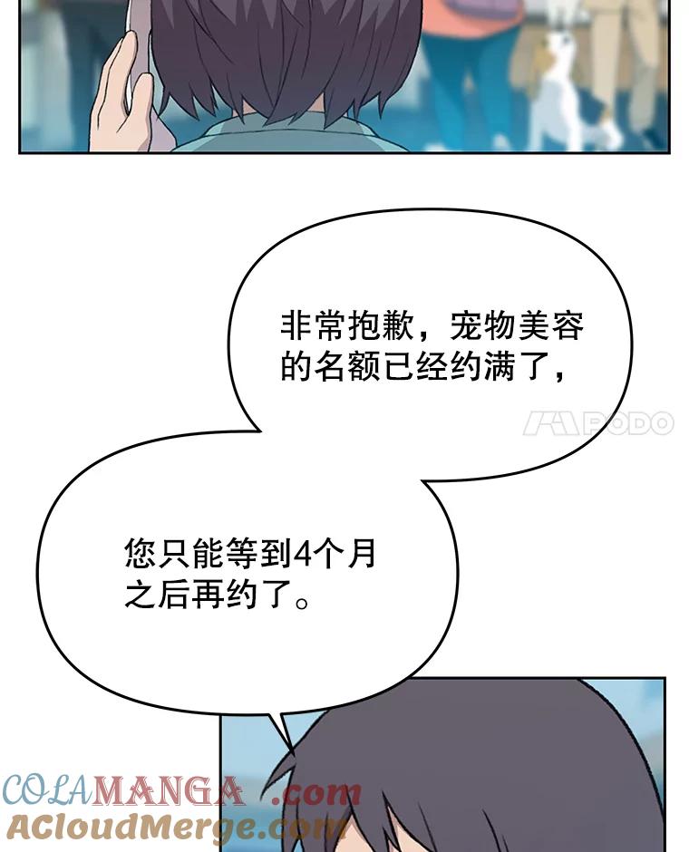 《彩虹桥守望者》41.宠物美容师 第25页