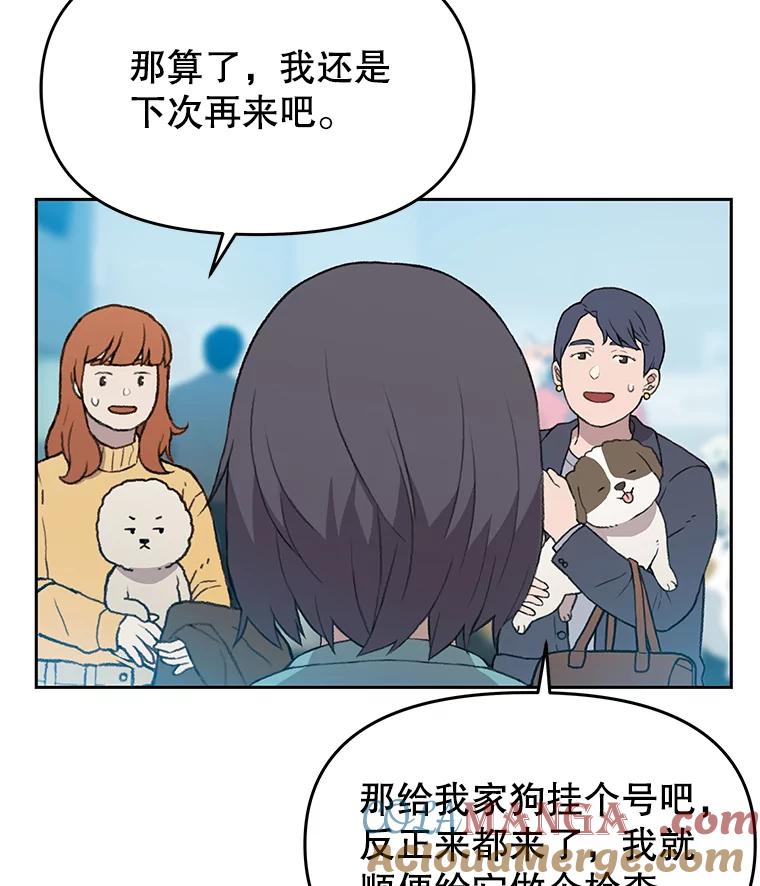 《彩虹桥守望者》41.宠物美容师 第37页
