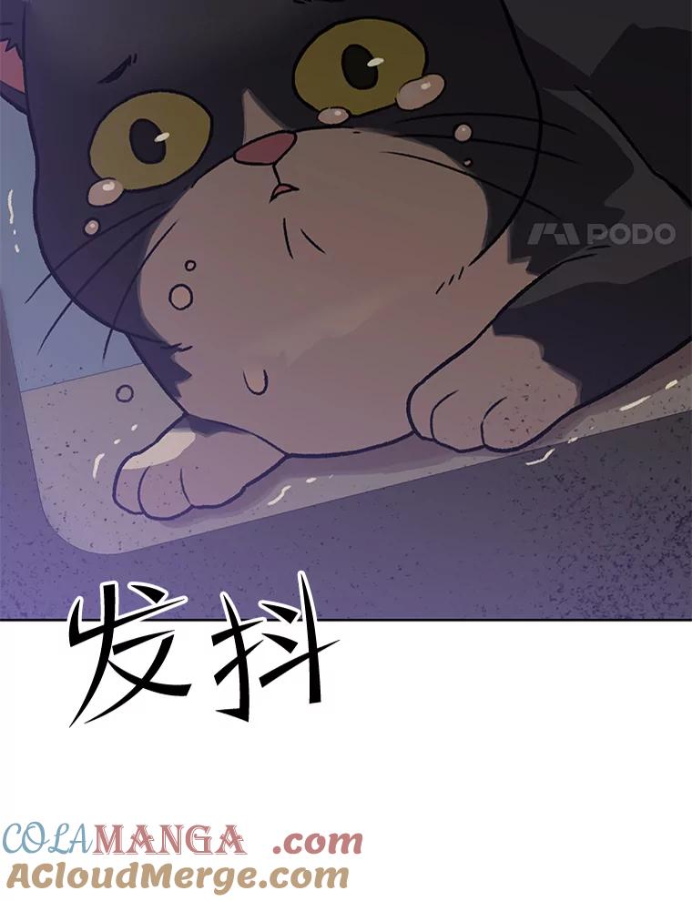《彩虹桥守望者》41.宠物美容师 第4页