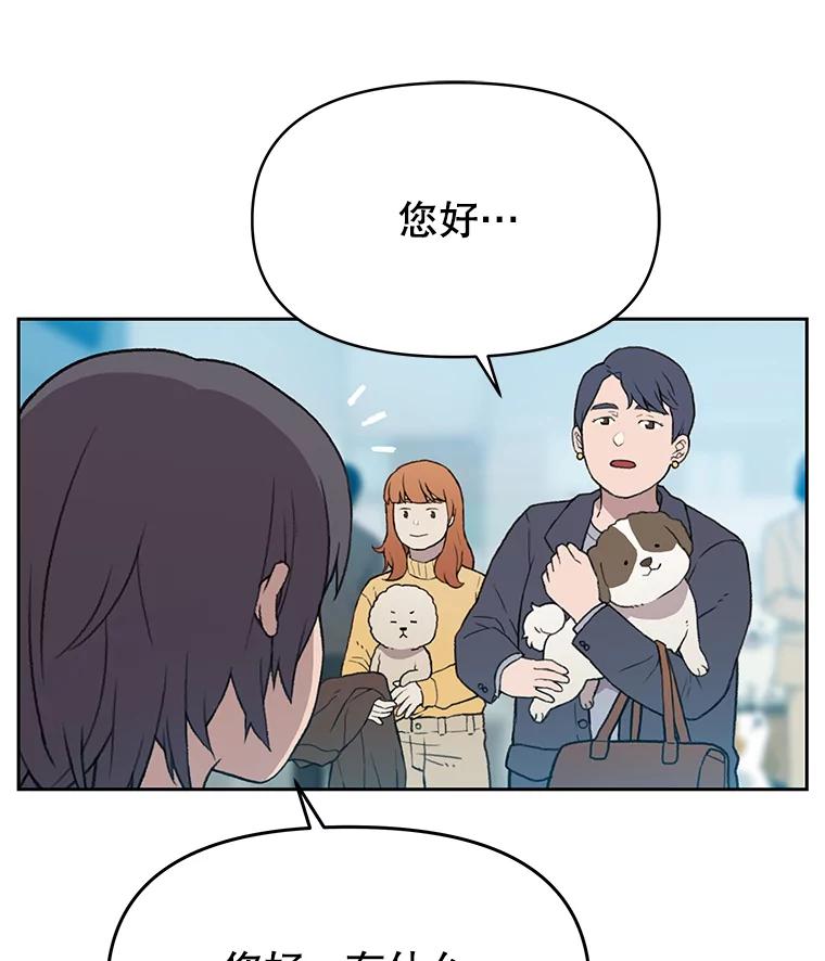 《彩虹桥守望者》41.宠物美容师 第33页