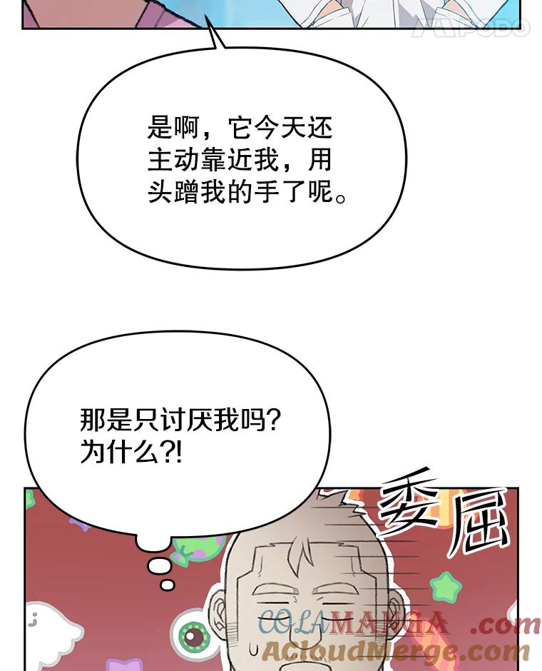 《彩虹桥守望者》41.宠物美容师 第22页