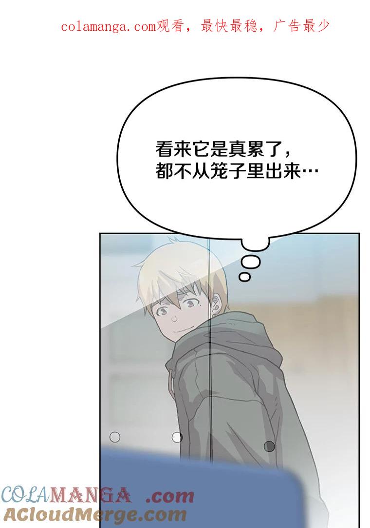 《彩虹桥守望者》41.宠物美容师 第1页