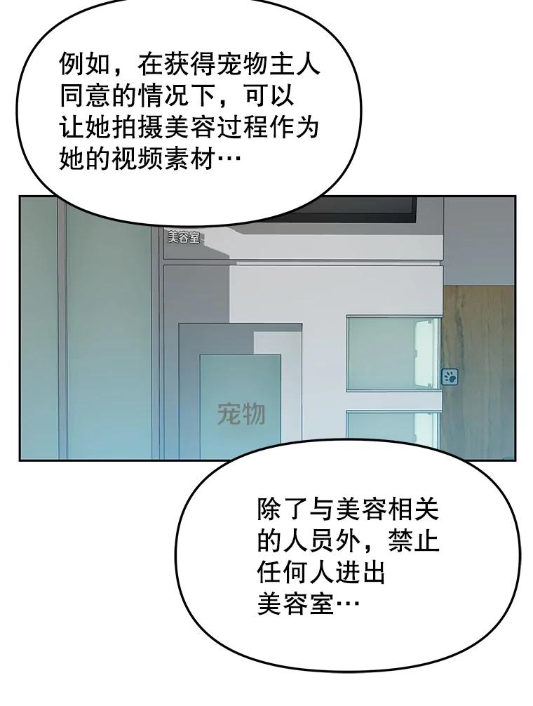 《彩虹桥守望者》41.宠物美容师 第59页