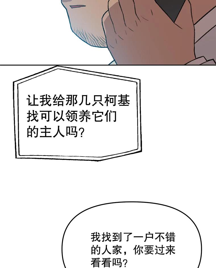《彩虹桥守望者》41.宠物美容师 第68页