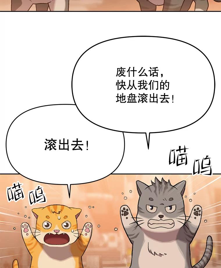 《彩虹桥守望者》42.家访 第56页
