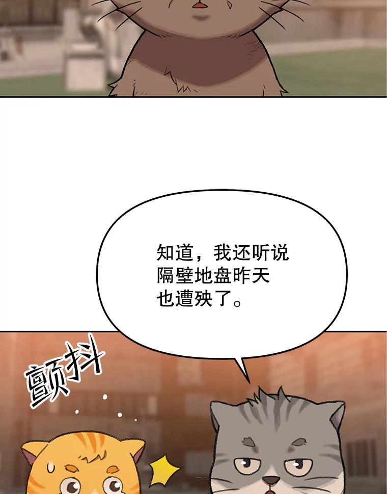 《彩虹桥守望者》42.家访 第63页