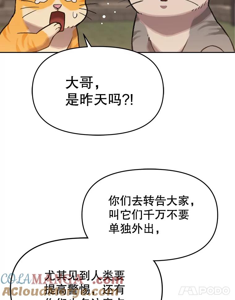 《彩虹桥守望者》42.家访 第64页