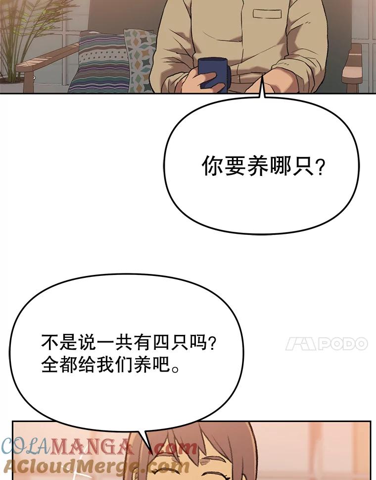 《彩虹桥守望者》43.最好的选择 第43页