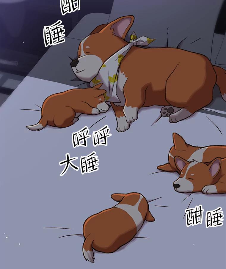 《彩虹桥守望者》43.最好的选择 第62页