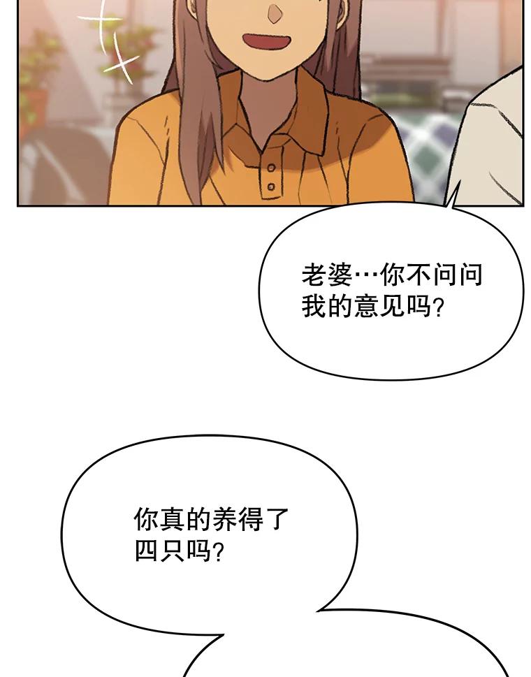 《彩虹桥守望者》43.最好的选择 第44页