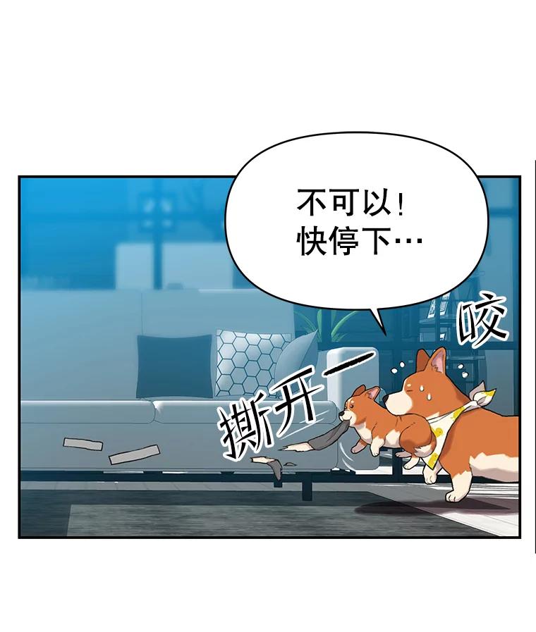 《彩虹桥守望者》43.最好的选择 第27页