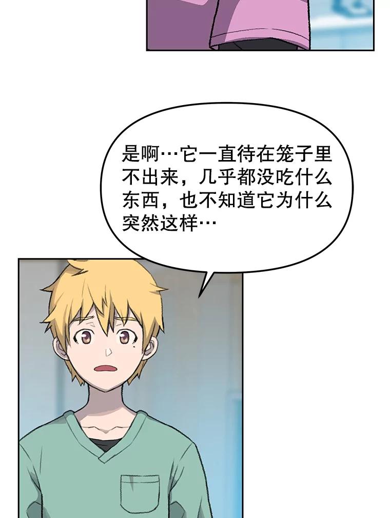 《彩虹桥守望者》44.最后的好时光 第41页