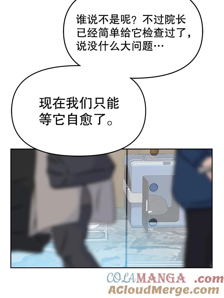 《彩虹桥守望者》44.最后的好时光 第43页