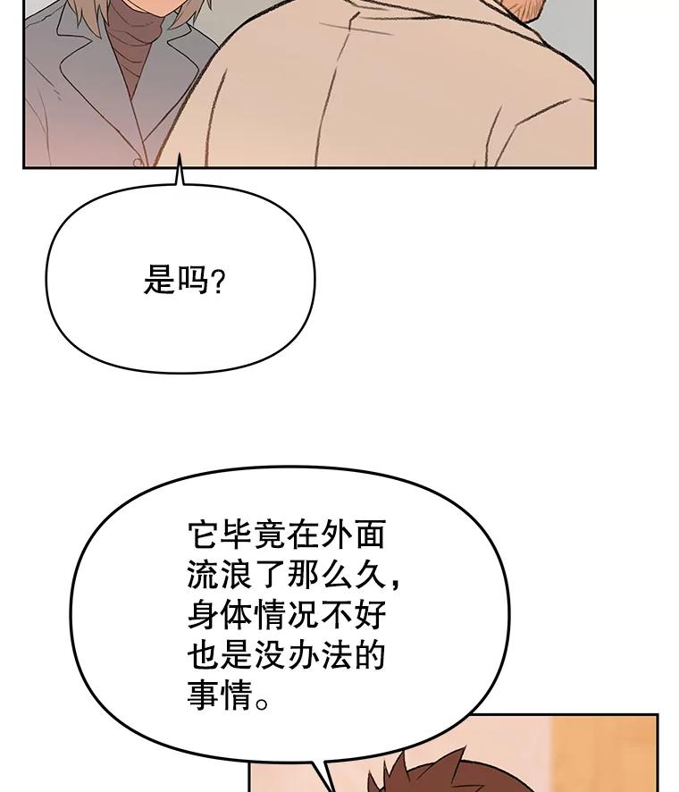 《彩虹桥守望者》45.离家出走 第42页