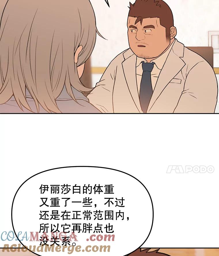 《彩虹桥守望者》45.离家出走 第46页