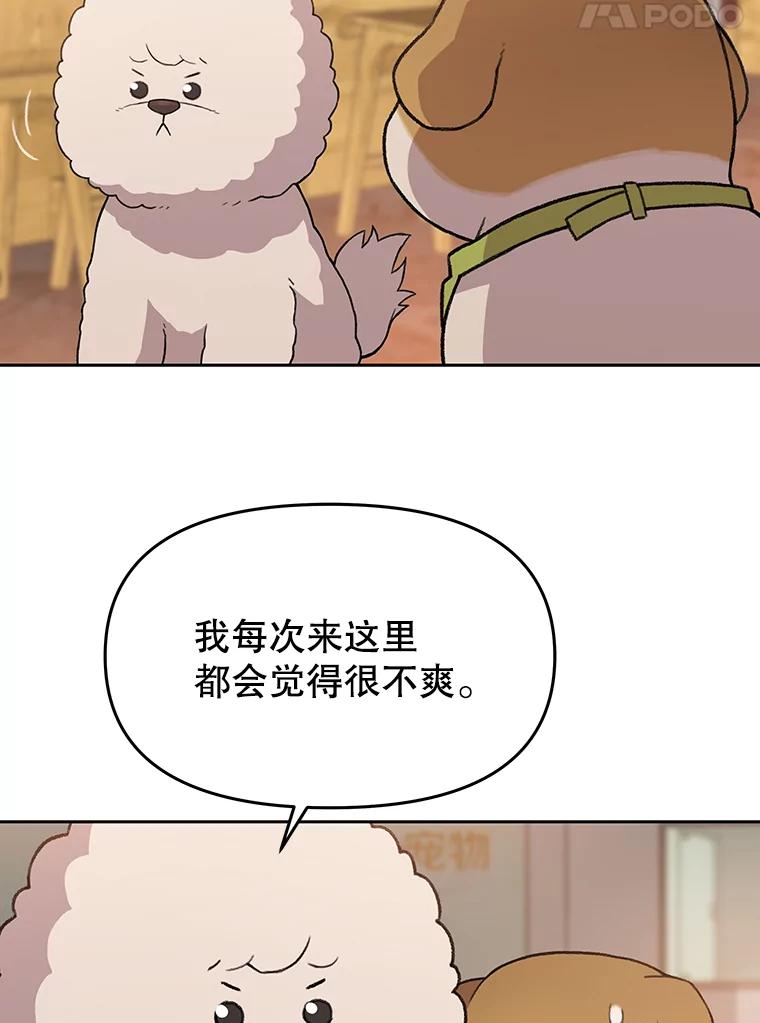 《彩虹桥守望者》45.离家出走 第50页