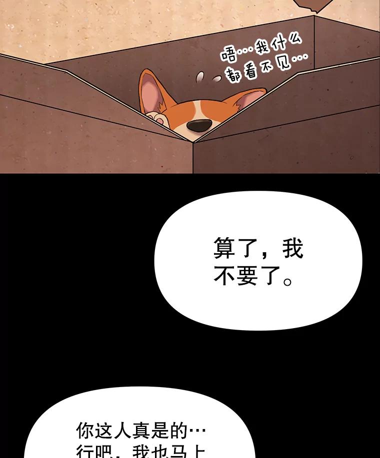 《彩虹桥守望者》46.小梦梦（1） 第66页