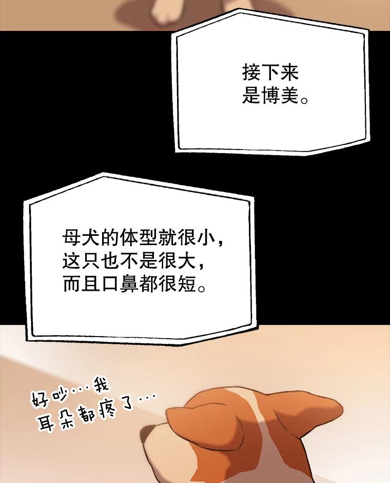 《彩虹桥守望者》46.小梦梦（1） 第45页