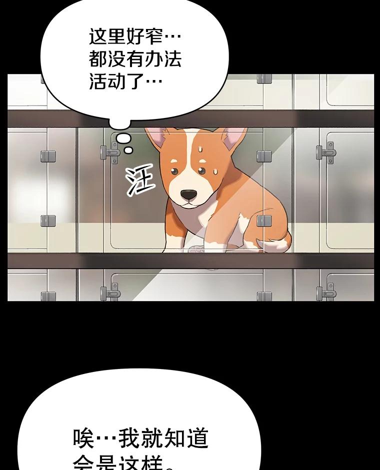 《彩虹桥守望者》47.小梦梦（2） 第11页