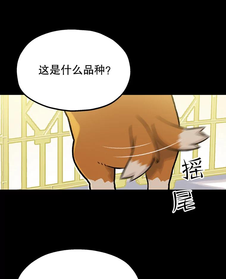 《彩虹桥守望者》47.小梦梦（2） 第38页