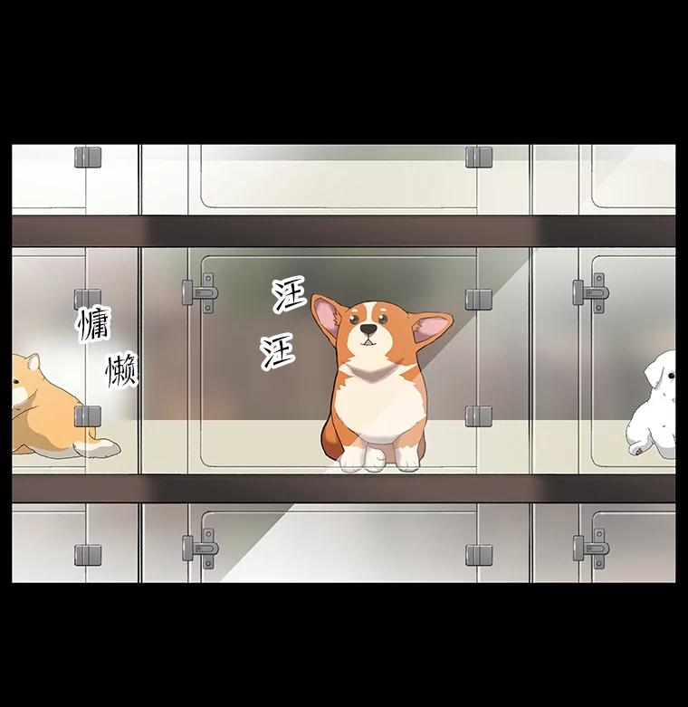 《彩虹桥守望者》47.小梦梦（2） 第6页