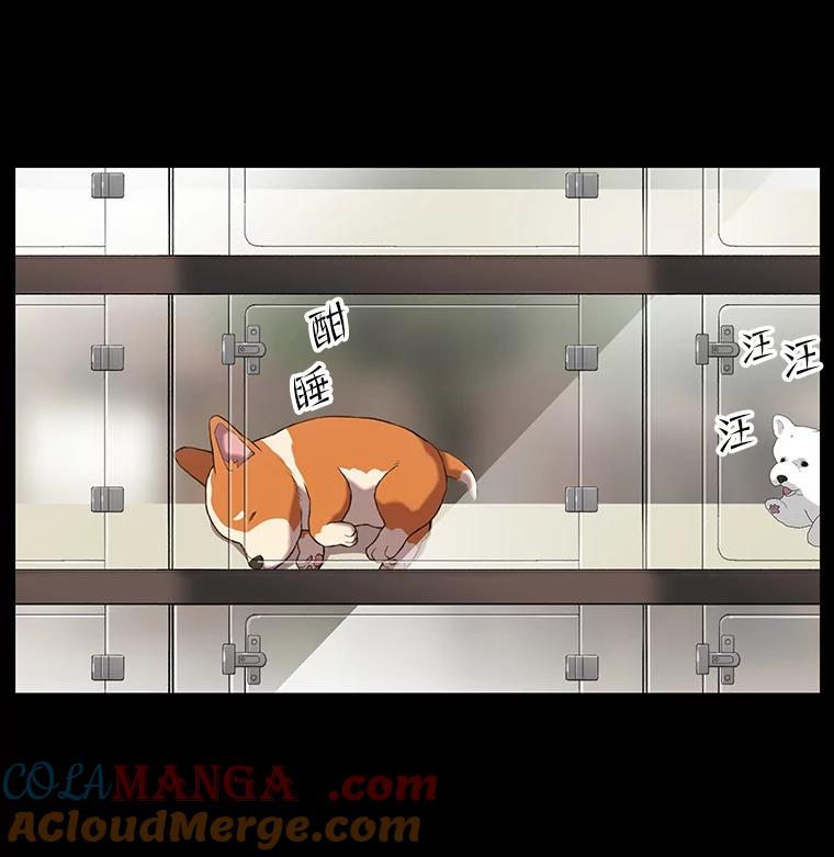 《彩虹桥守望者》47.小梦梦（2） 第7页